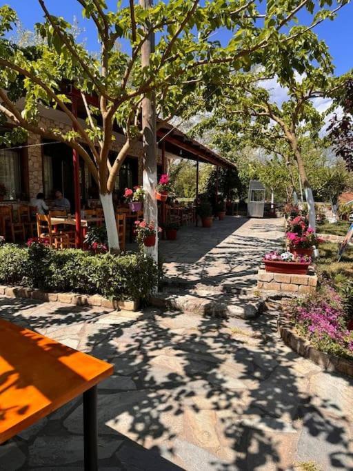 Family Woodland Oasis Vipgreece Daire Kírinthos Dış mekan fotoğraf