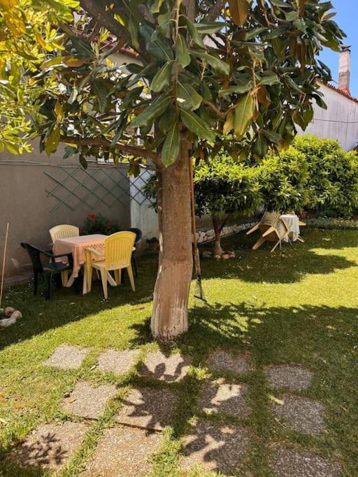 Family Woodland Oasis Vipgreece Daire Kírinthos Dış mekan fotoğraf